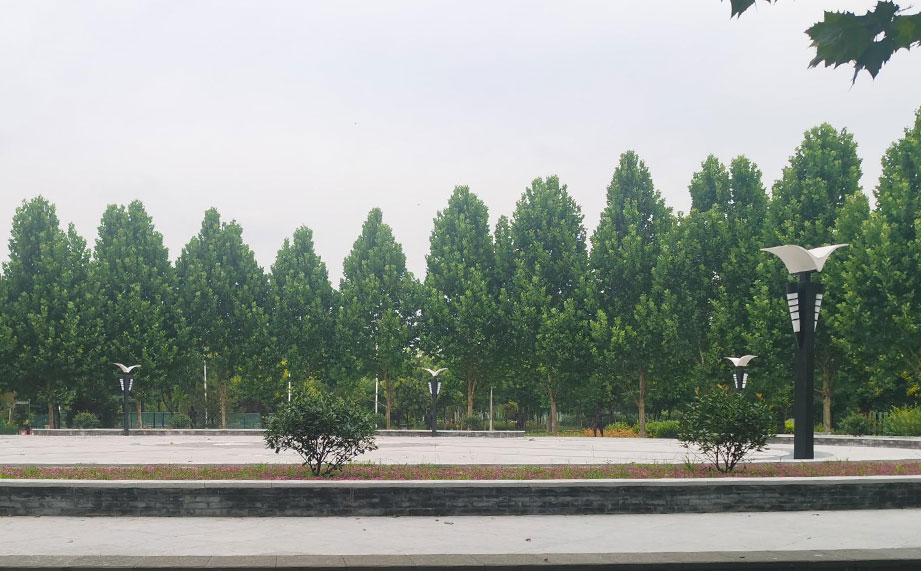 景觀燈，公園景觀燈.jpg